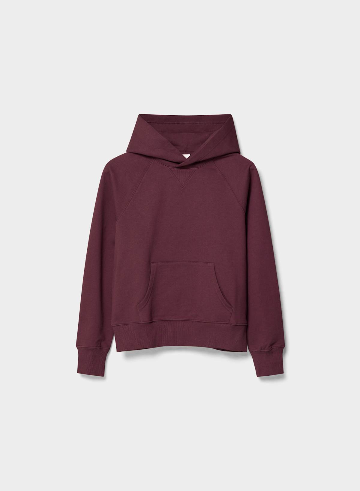 Terry Sweatfleece Perfect Raglan Hoodie - Image 3