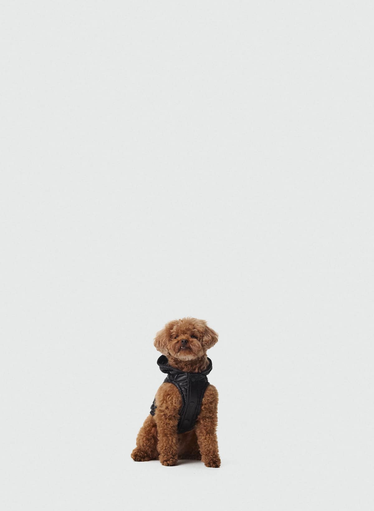 The Super Ruff Puff - Hi-Gloss - Image 3