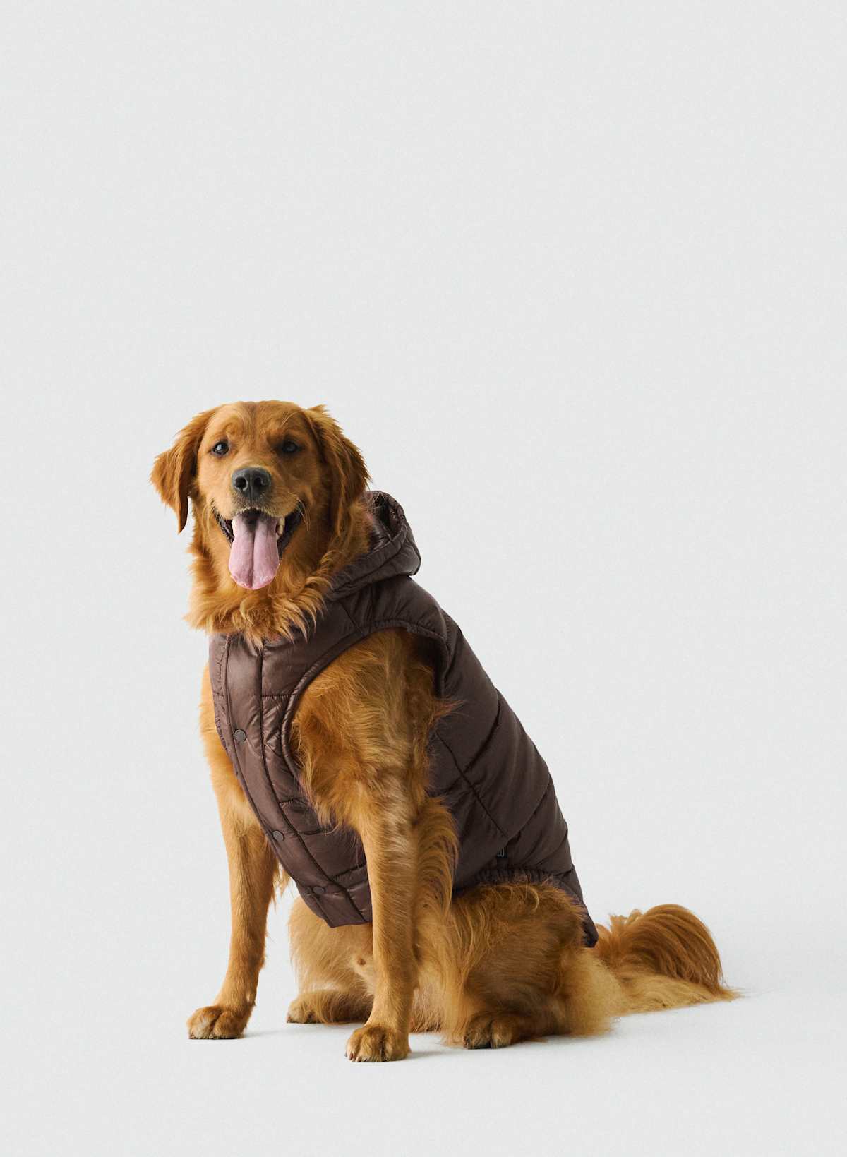 The Super Ruff Puff - Hi-Gloss - Image 2